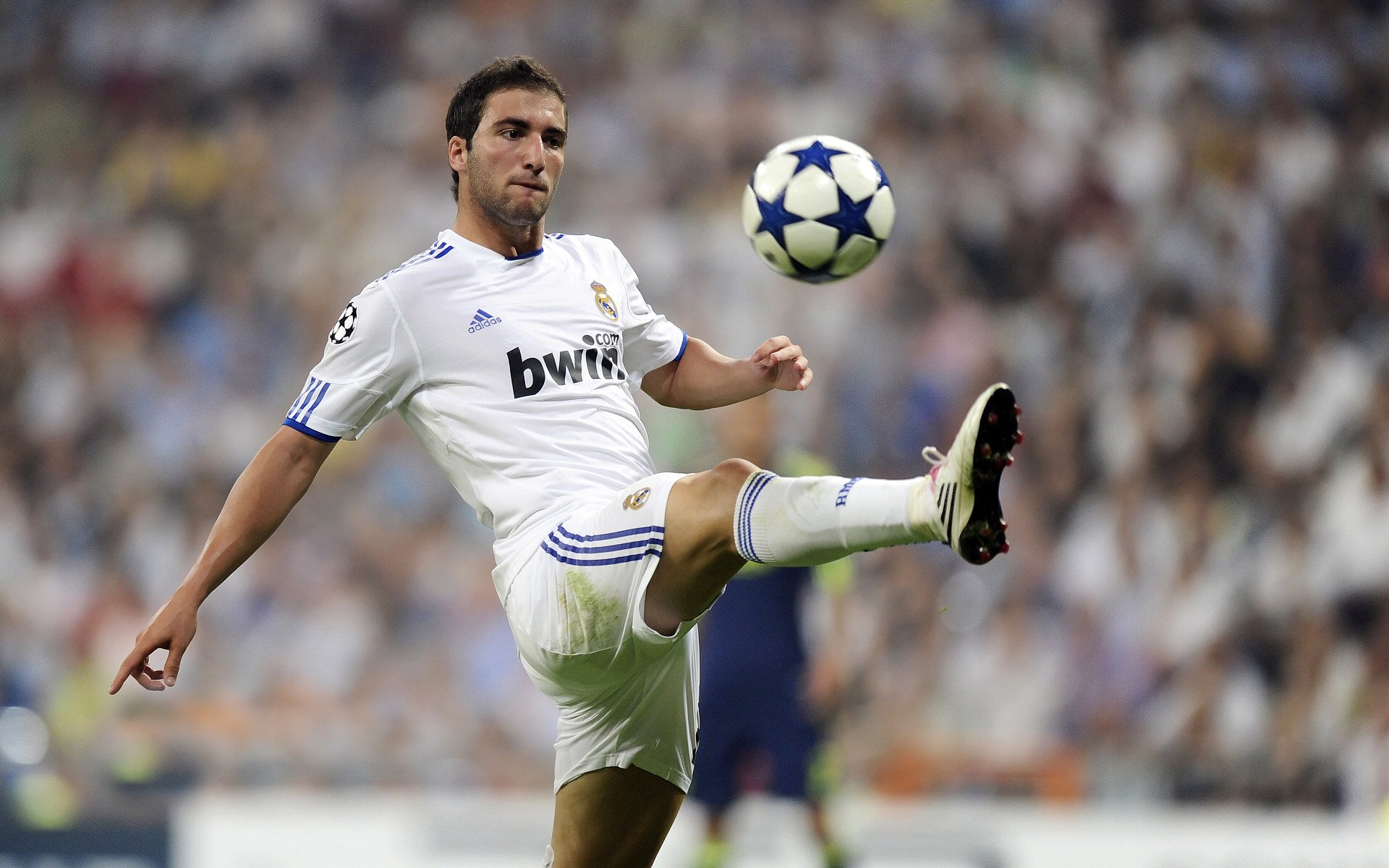 开云体育在线-史上最惊心动魄的“冠军对决”重温经典瞬间，冠军对冠军综艺