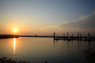 开云app下载-千帆竞发，轻艇马拉松点亮湖滨赛场，赛艇马拉松多少公里